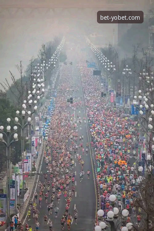 2026yobet体育平台手机投注 2026yobet体育平台手机投注功能深度评测:v2.1.3版本带来的三大突破